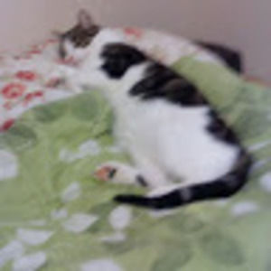 Meet your Posher, Samira